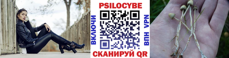 площадка Telegram MEGA вход Псилоцибиновые грибы Magic Shrooms Ирбит купить закладку
